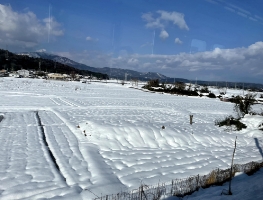 周辺の風景